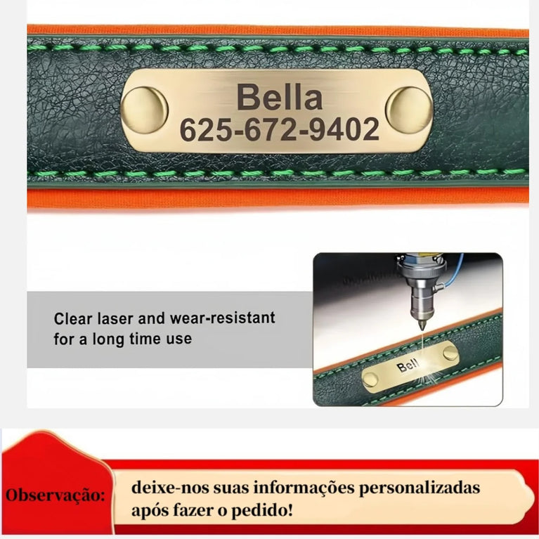 Personalized Leather Dog Collar | Padded ID Nameplate Collar