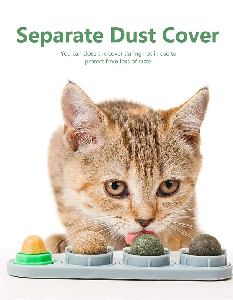 4 in 1 Rotating Catnip Silver Vine Ball Wall Stick Toy Kit