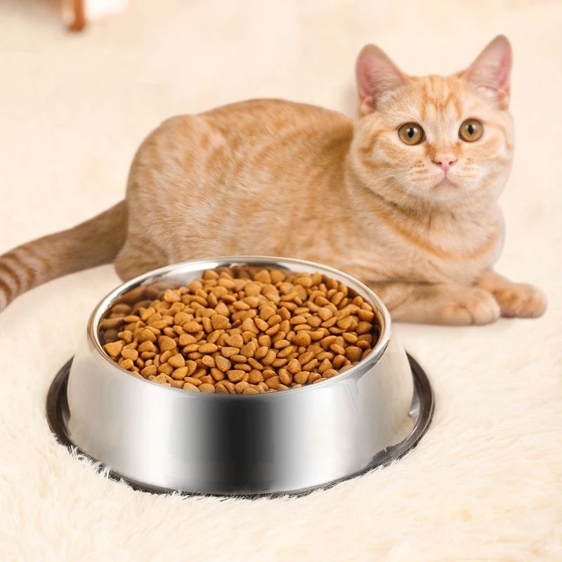 Anti-Slip Stainless Steel Dog Bowl | Anti-Tip & Anti-Ant Feeder
