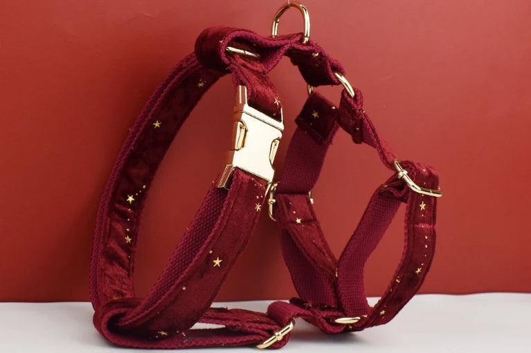 Luxury Fashion Dog Collar Leashes Harness Bow Set