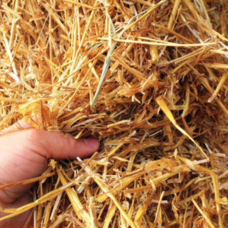 100PCS Disposable Wheat Straw Eco-Friendly Natural Drinking Straws