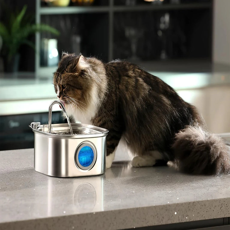 3.2L Stainless Steel Pet Water Feeder Auto Cat Fountain Smart Dog Water Dispenser Visual Window Bowl