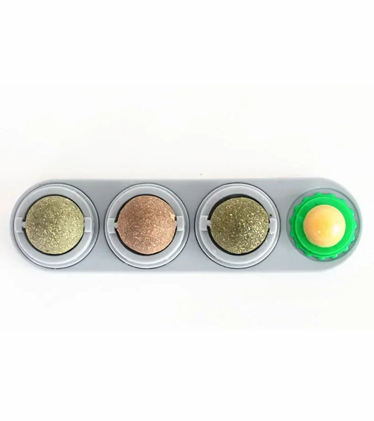 4 in 1 Rotating Catnip Silver Vine Ball Wall Stick Toy Kit