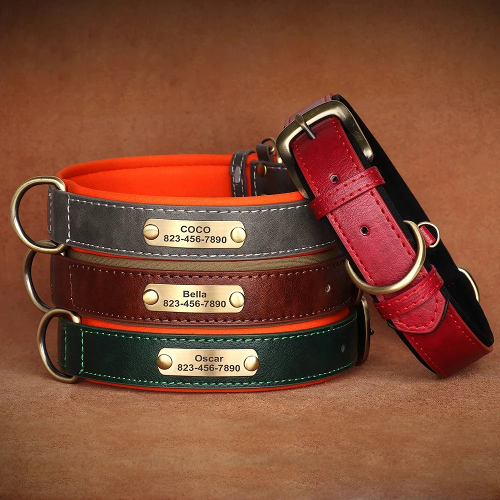 Personalized Leather Dog Collar | Padded ID Nameplate Collar