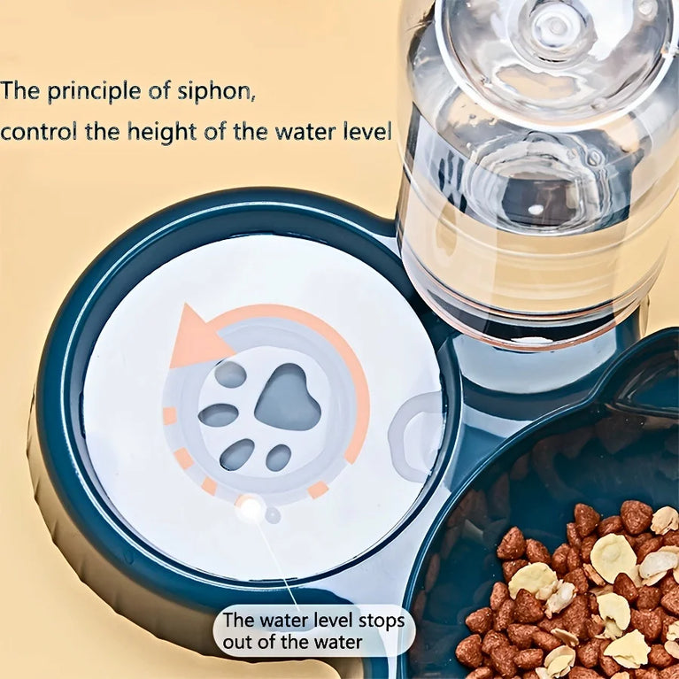 3 in 1 Tilted Cat Bowl Set with Water Feeder Raised Design