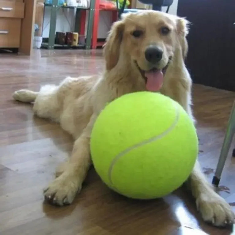 Giant Dog Tennis Ball 7/8/9.5Inch Chewing Toy Training Supplies Plushs