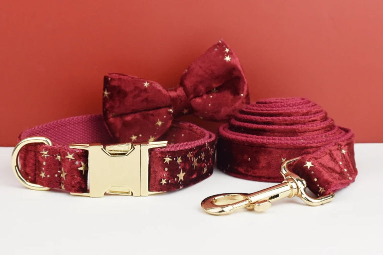 Luxury Fashion Dog Collar Leashes Harness Bow Set