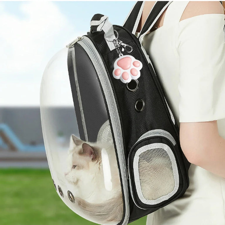 Laser Transform Pattern Pet LED Cute Laser Cat Rechargeable Toy Training