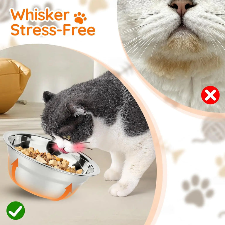 15° Tilted Raised Cat Bowls with Wooden Stand and 3 Steel Dishes