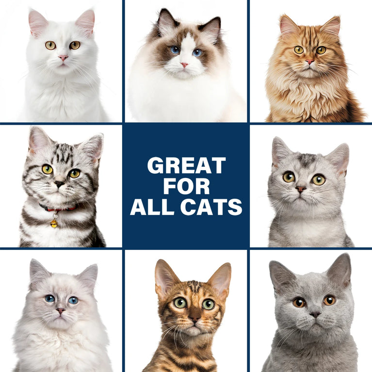 Gentle Mild Cat Shampoo | Nourishing & Non-Irritating Formula