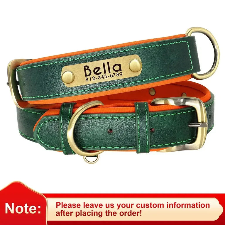 Personalized Leather Dog Collar | Padded ID Nameplate Collar