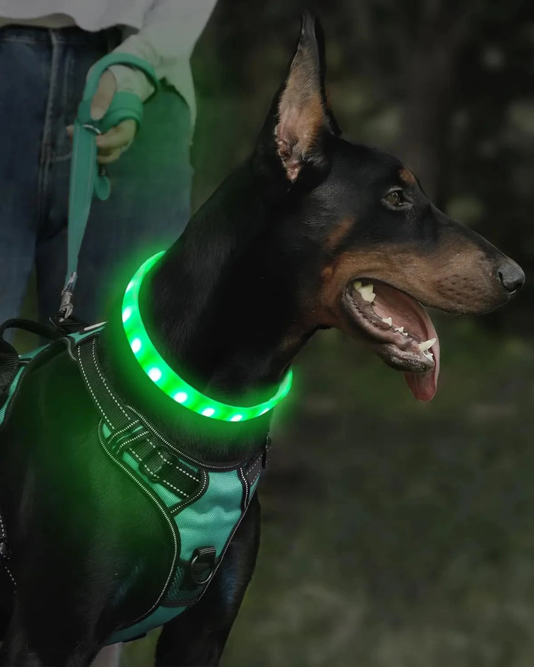 USB Rechargeable LED Glowing Dog Collar 9 Flashing Modes Adjustable