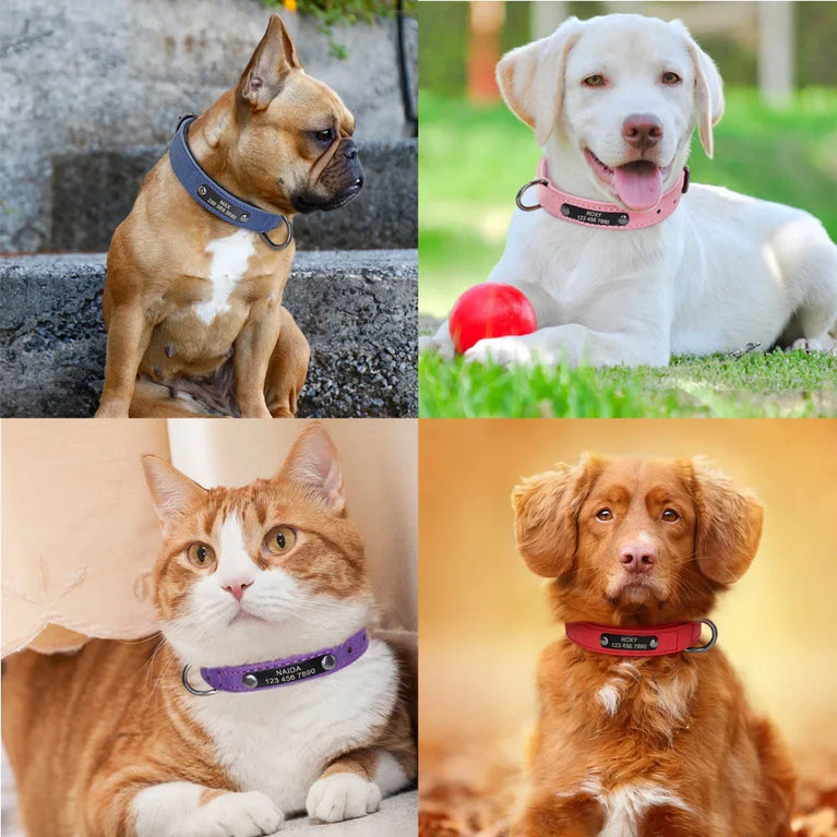 Personalized Leather Dog Collar | Padded ID Nameplate Collar
