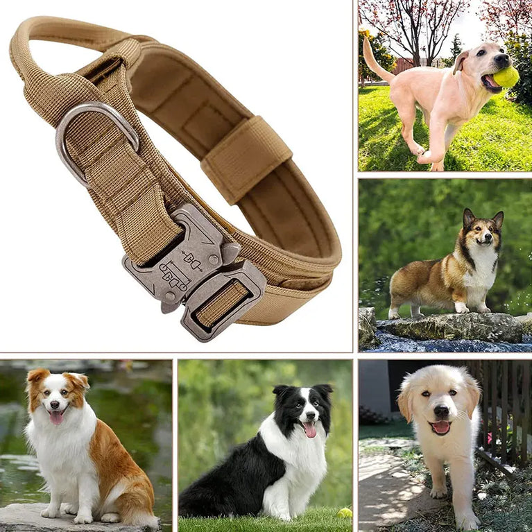 Outdoor Sports Style Tactical Dog Collar Usable Training Traction
