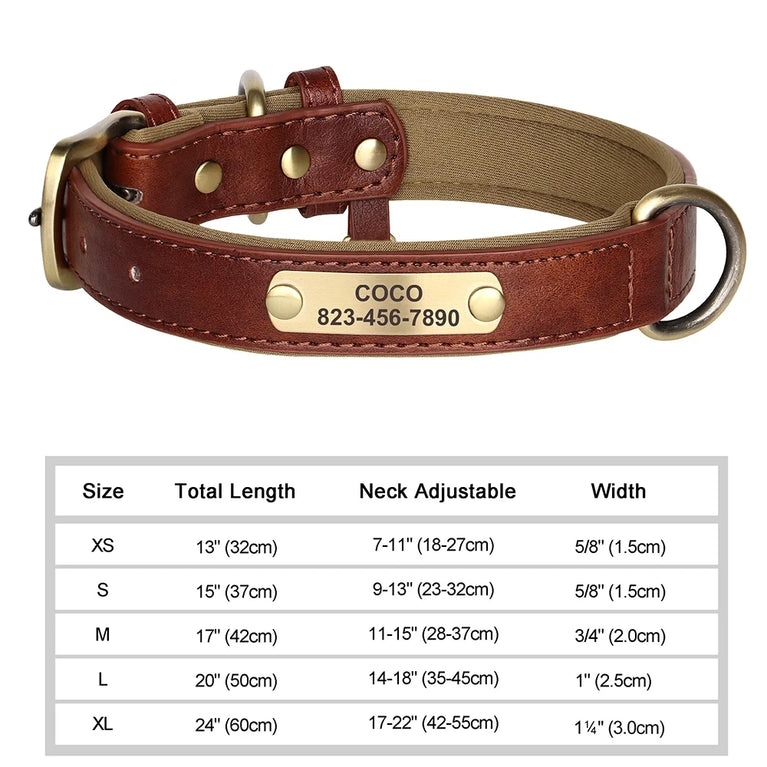 Personalized Leather Dog Collar | Padded ID Nameplate Collar