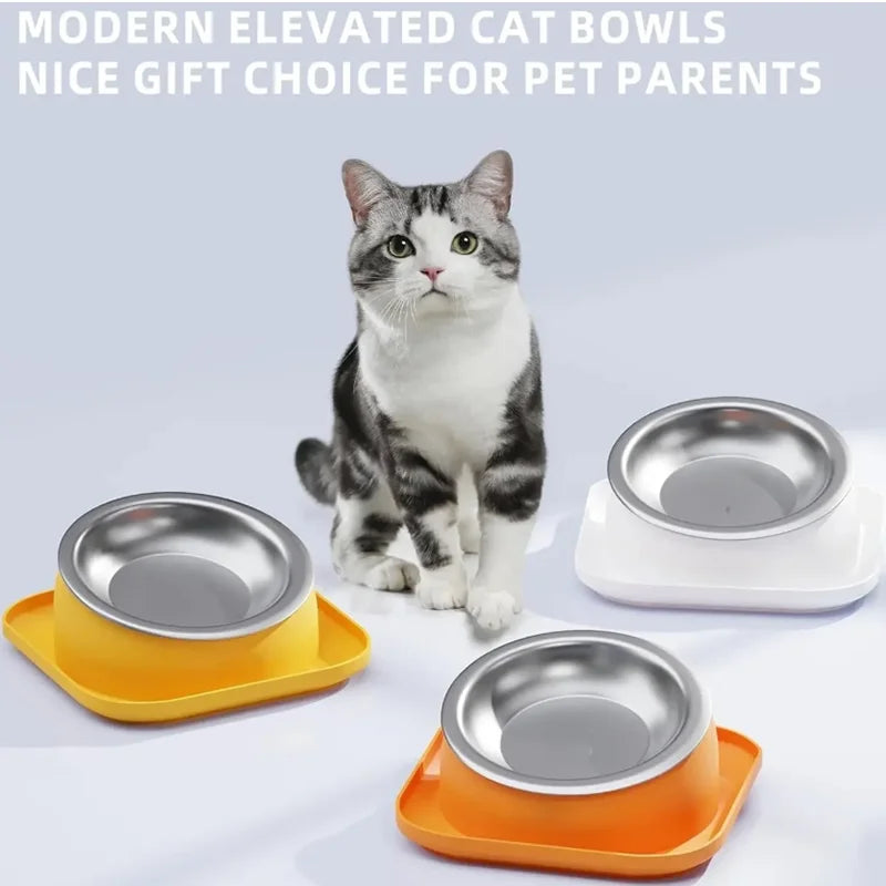 15° Tilted Raised Cat Feeder with Stainless Bowl Anti Slip Base