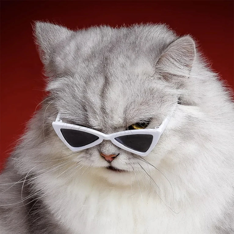 Sphynx Sunglasses | Windproof Pet Fashion Goggles