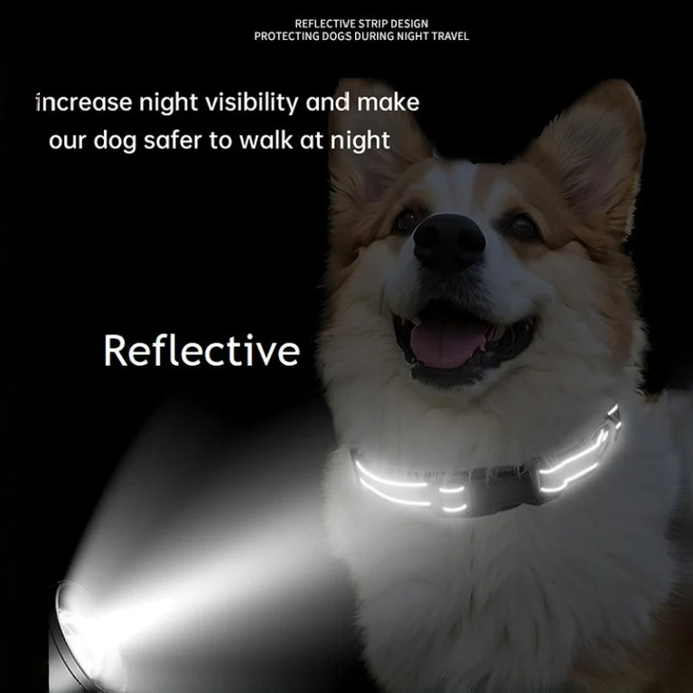 10 Colors Pet Dog Collar Nylon Neck Collar Small Medium Large Dog Chihuahua Reflective