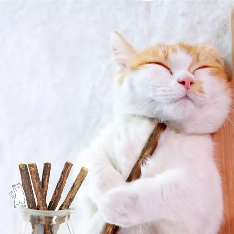 Natural Silvervine Sticks Catnip Chew Teeth Cleaning Dental Molar Cat Toy Set