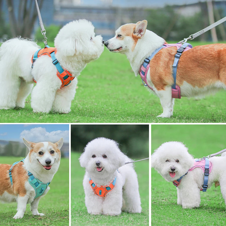 Mesh Breathable Reflective Nylon Dog Harness Adjustable Training Vest For Dogs