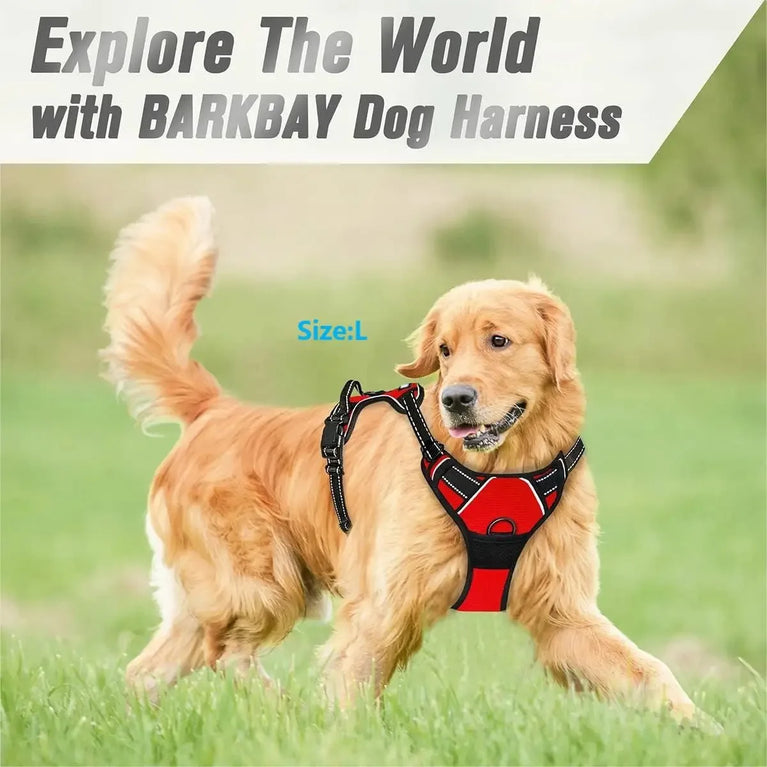 Dog Collars Harness Vest Leash Set for Small Medium Dogs Puppy Pet Set Leather Set