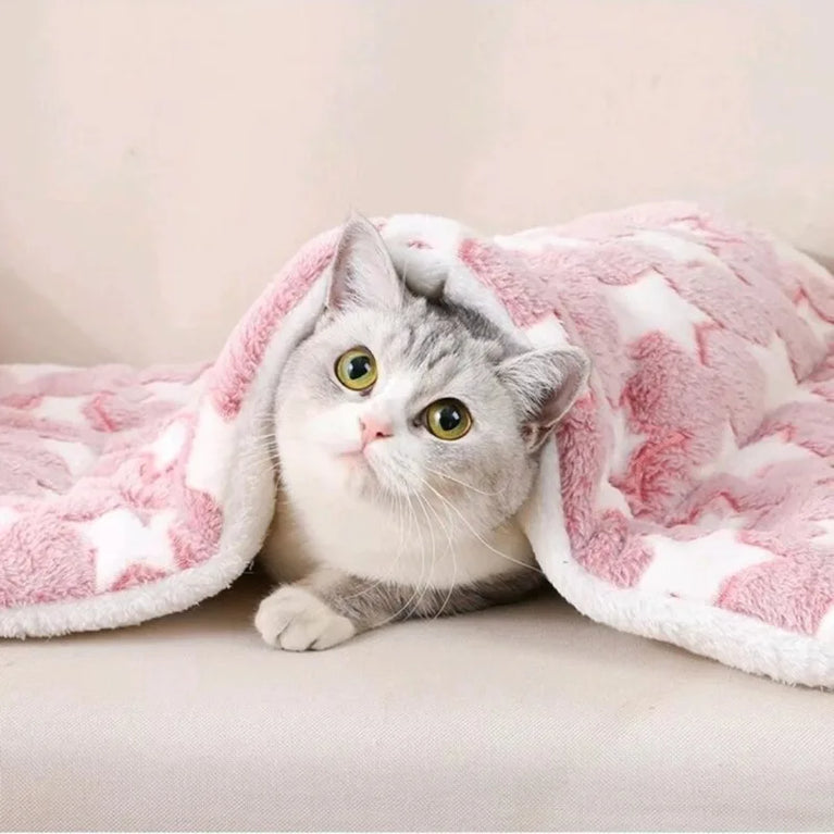 Flannel Pet Mat Dog Bed Cat Bed Thicken Sleeping Mat Cooling Heating Pad for Cats & Pets Comfort Rug