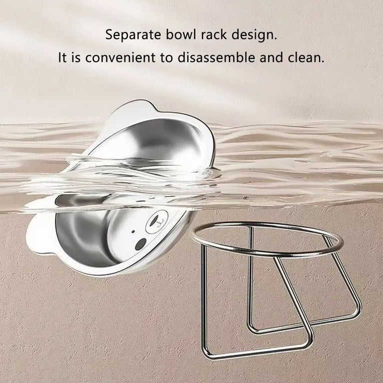Raised Cat Bowls Tilted Neck Guard 304 Stainless Steel Elevated 15 Degree Anti Slip Pet Feeding Set