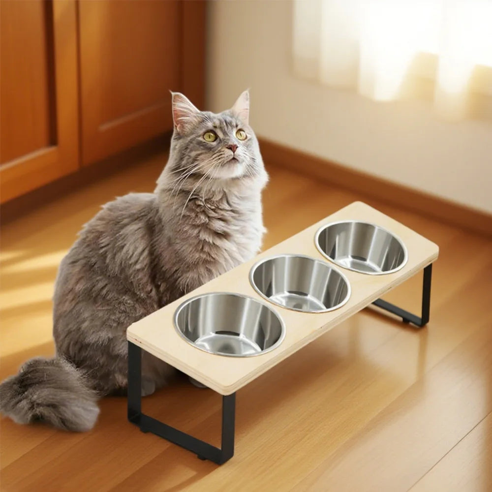 15° Tilted Raised Cat Bowls with 3 Steel Anti Vomiting Feeder