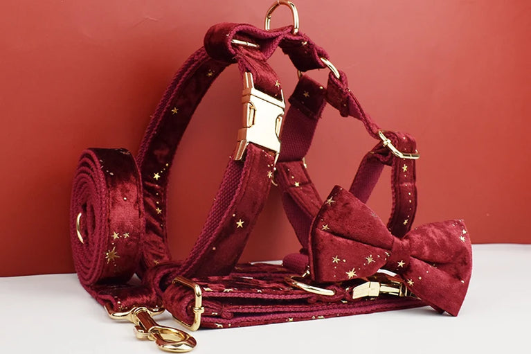 Luxury Fashion Dog Collar Leashes Harness Bow Set