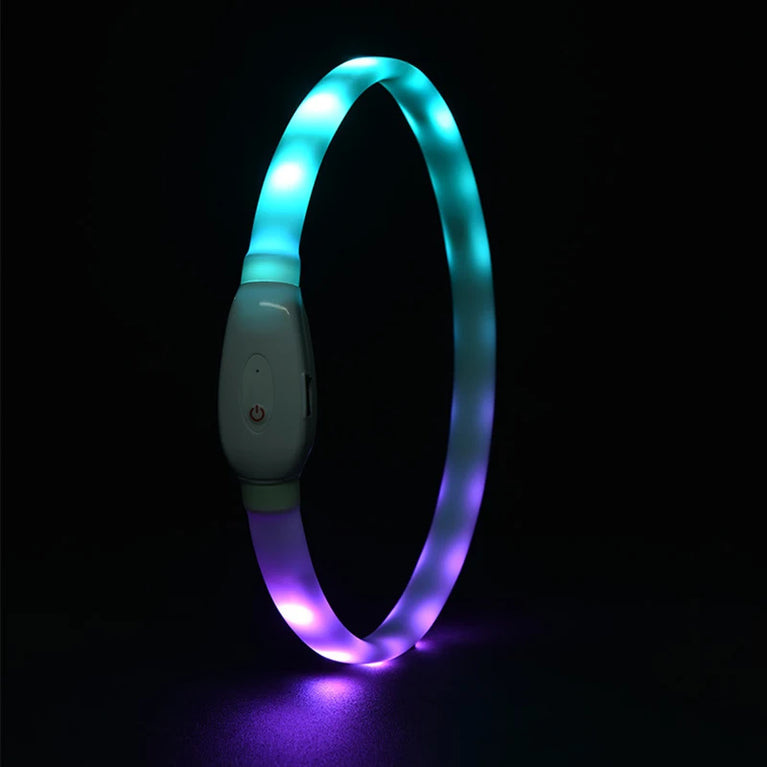 USB Rechargeable LED Glowing Dog Collar 9 Flashing Modes Adjustable
