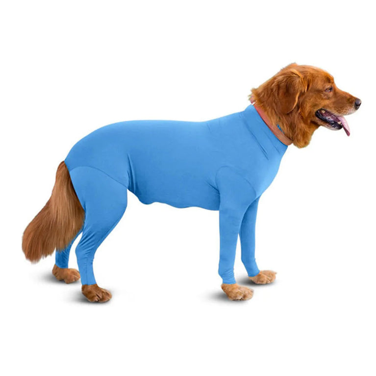 Solid Polyester Dog Accessory | Durable All-Weather Comfort