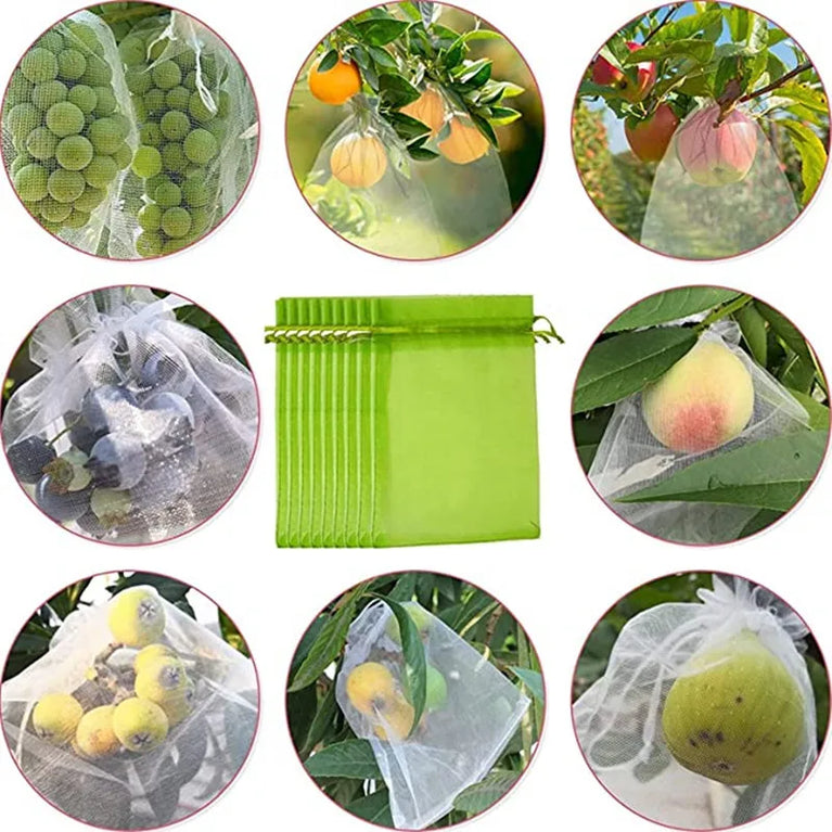 Fruit Protection Netting Bags | Reusable Organza Mesh for Pest & Bird Control