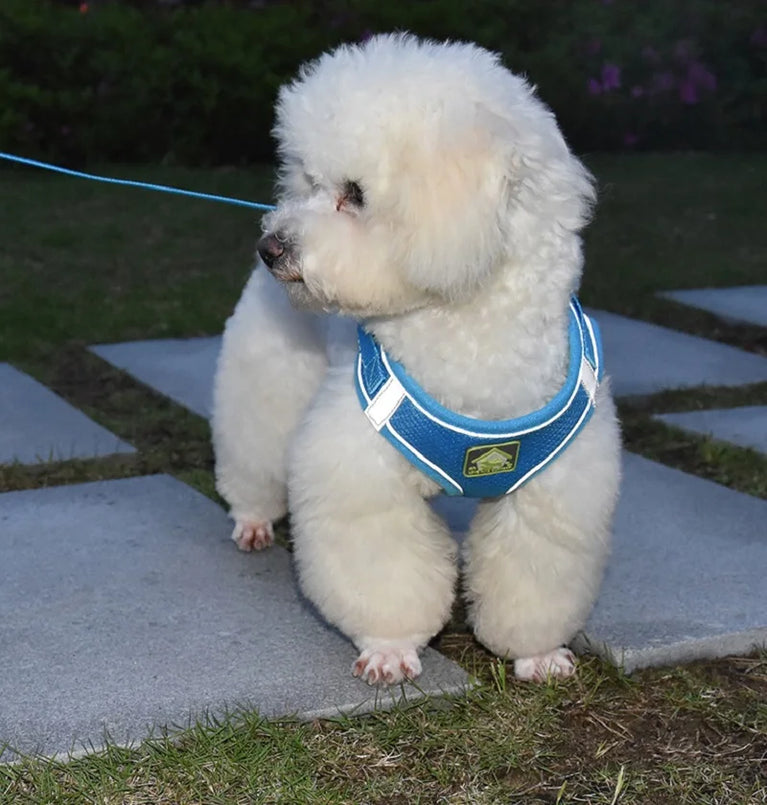 Reflective Breathable Mesh Puppy Dog Harness And Leash Set No Pull Vest