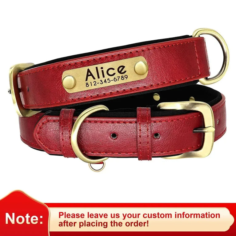 Personalized Leather Dog Collar | Padded ID Nameplate Collar