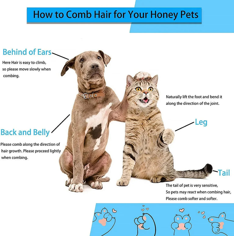 Stainless Steel Pet Grooming Brush | Pro Hair Remover & Comb