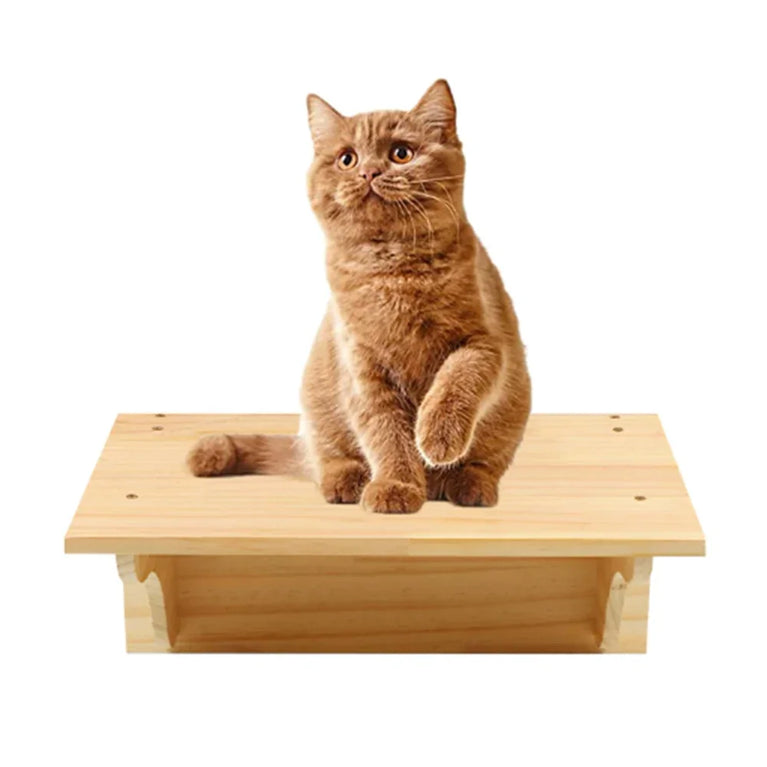 Wall-Mounted Cat Hammock & Climbing Set | Space-Saving Wood Furniture