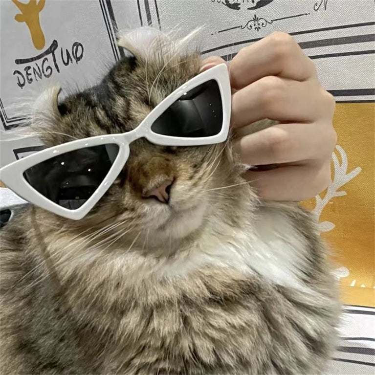 Sphynx Sunglasses | Windproof Pet Fashion Goggles