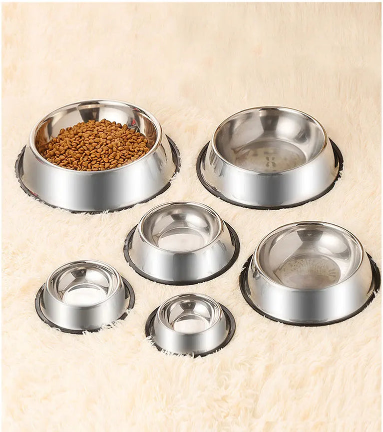 Anti-Slip Stainless Steel Dog Bowl | Anti-Tip & Anti-Ant Feeder
