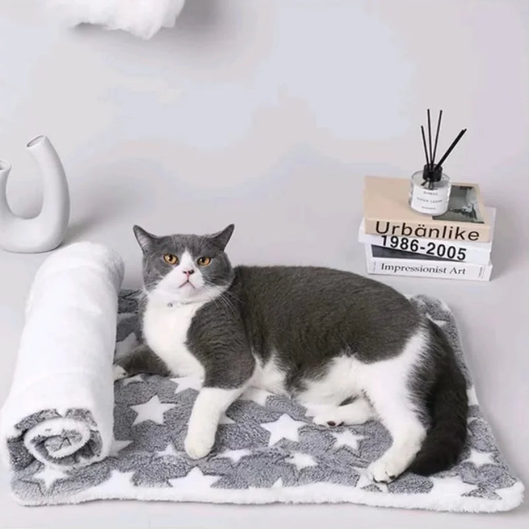 Flannel Pet Mat Dog Bed Cat Bed Thicken Sleeping Mat Cooling Heating Pad for Cats & Pets Comfort Rug