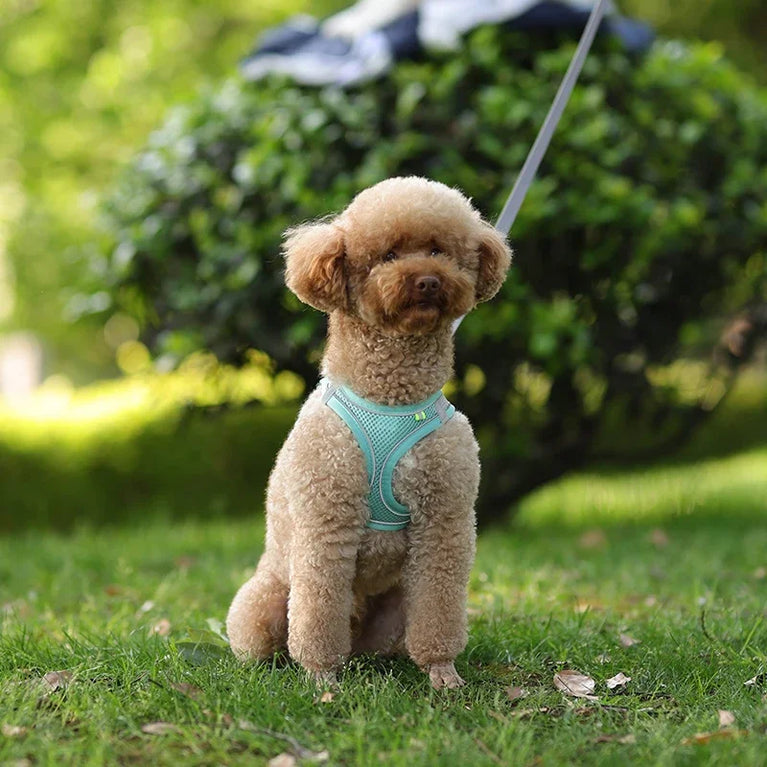 Puppy Dog Harness Set Reflective Adjustable Small Pet Vest With Leash