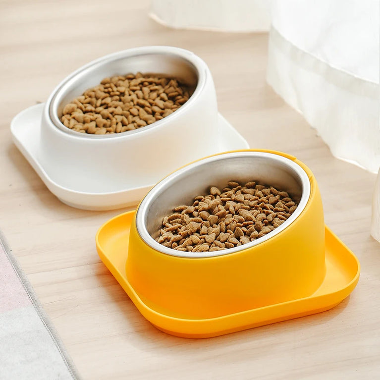 15° Tilted Raised Cat Feeder with Stainless Bowl Anti Slip Base