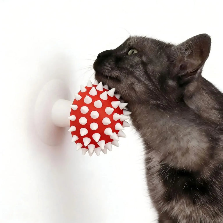 Cat Grooming Brush Mushroom Wall Scratcher Self Groomer Comb Tool
