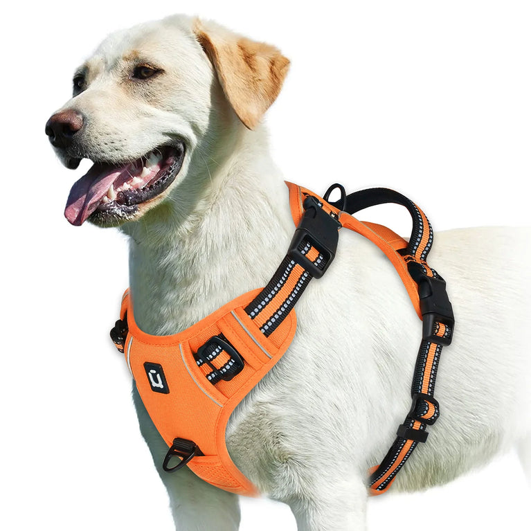 No Pull Adjustable Soft Padded Dog Harness Vest With Control Handle