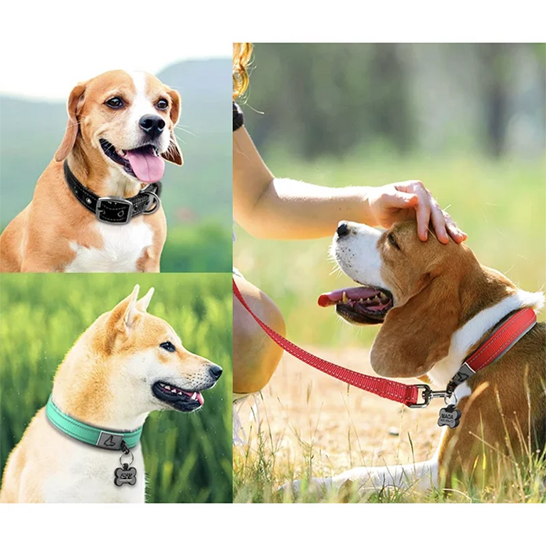 Padded Dog Collars Reflective Adjustable Heavy Duty Nylon Wide