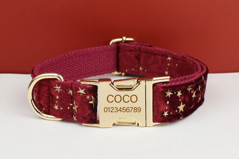 Luxury Fashion Dog Collar Leashes Harness Bow Set