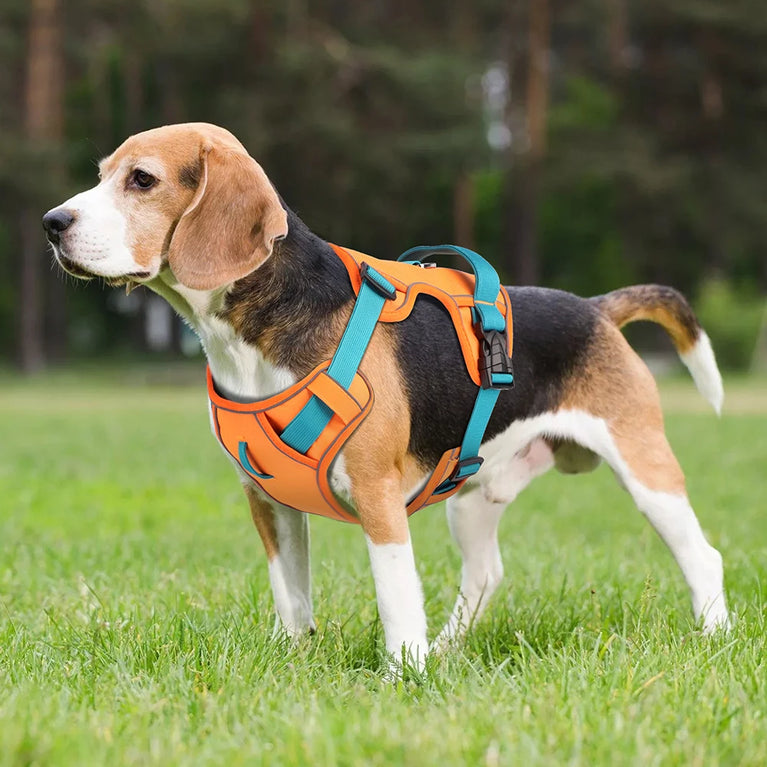 Mesh Breathable Reflective Nylon Dog Harness Adjustable Training Vest For Dogs