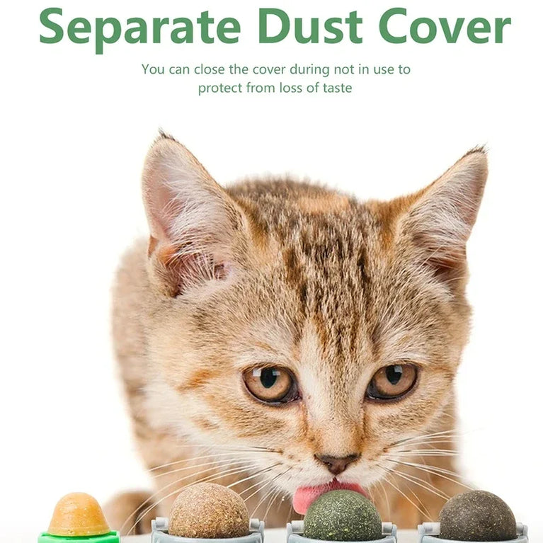 4 in 1 Rotating Catnip Silver Vine Ball Wall Stick Toy Kit