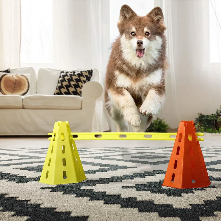 Dog Agility Training Set | Adjustable Hurdle & Jumping Bar
