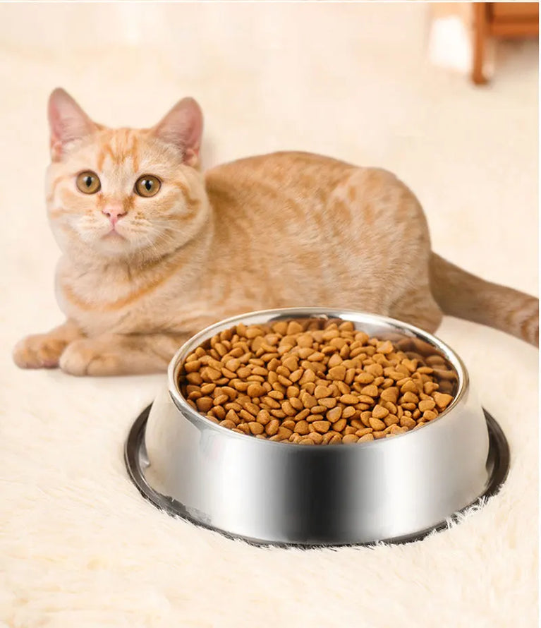 Anti-Slip Stainless Steel Dog Bowl | Anti-Tip & Anti-Ant Feeder