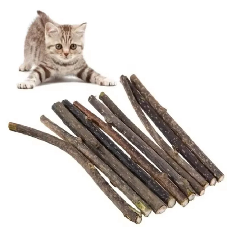 Cat Snack Polygonum Natural Wood Chew Stick Cat Teeth Cleaning Toy Set